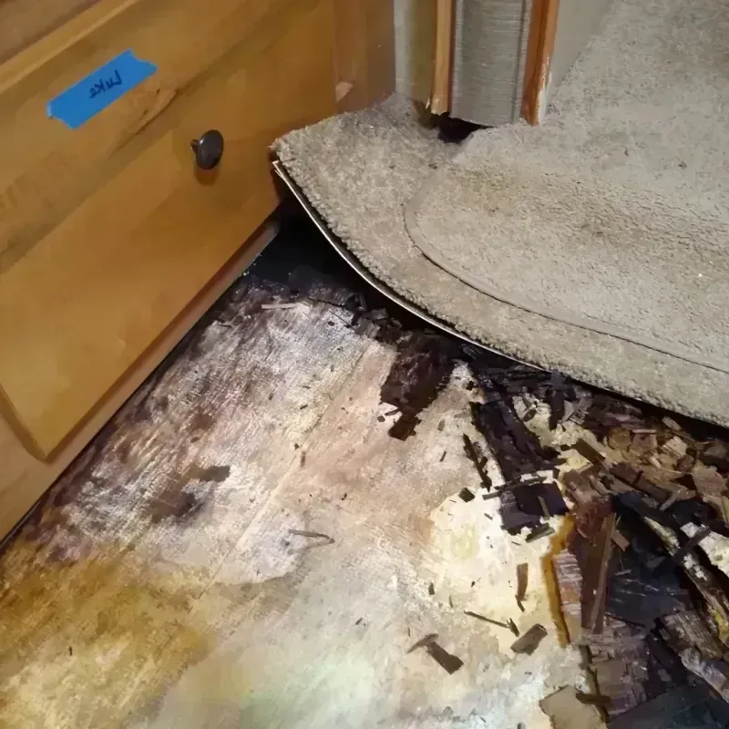 Wood Floor Water Damage in Tiki Island, TX